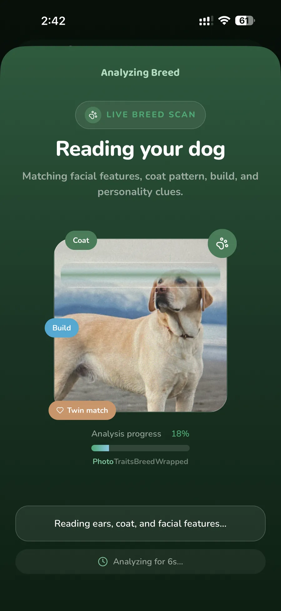 PawNature: While the vision model reads the photo: ears, coat, build. The bar is never allowed to reach 100% before the real result is back.